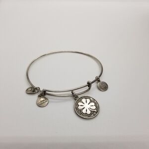 Alex and Ani rafaelian silver bangle four leaf clover luck
